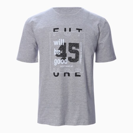 T -shirt male, gray color, size 48-4