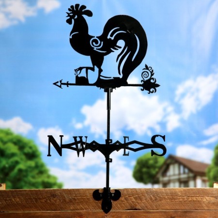 Waller "Rooster" Big 50*60 cm