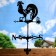 Waller "Rooster" Big 50*60 cm