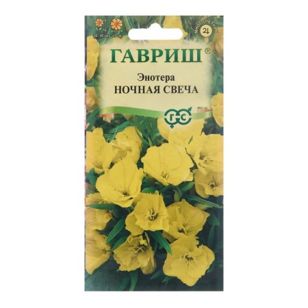 Enoter's flowers "Night candle", 0.2 g