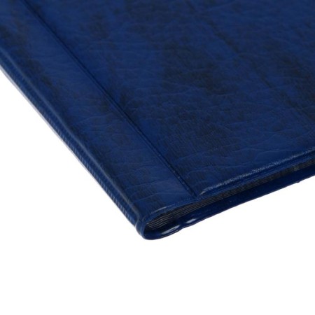 Album for coins 125 x 185 mm Calligrata, 150 coins, cell 35 x 35 mm, 10 sheets, covering artificial leather, blue-2