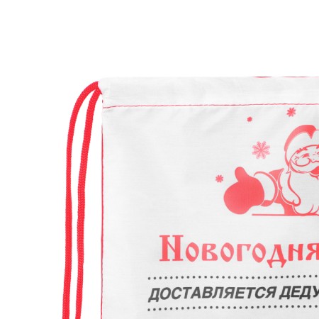 New Year. Bag for sweets 290 x 340 mm "New Year's mail" (soft polyester density 210d)-3