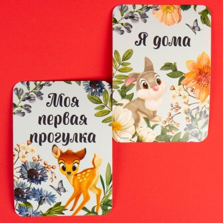 A set of cards for photo shoots, Disney-5