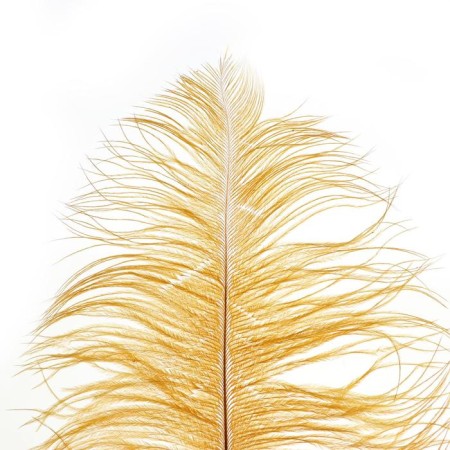 Feather for decor, length: from 45 to 60 cm, mustard color-1
