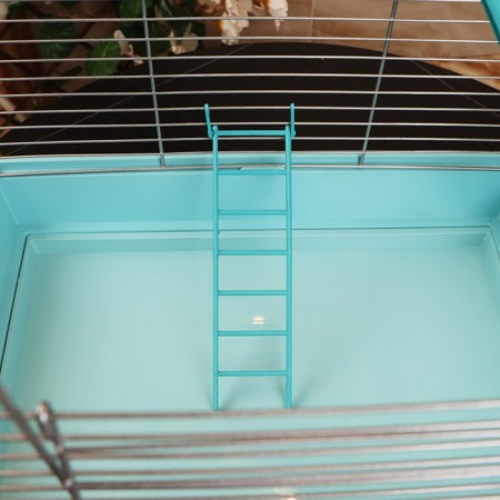 Birds of "Piggers" No. 101, chrome, equipped, 41x30x65 cm, turquoise-6