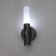 Sconces with a junik movement sensor LED 3000/7000k USB battery silver 7x3x20 cm