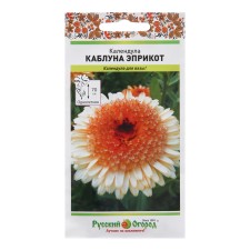 Flower seeds of the calendula 
