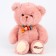 Soft toy "Bear" with a necklace, 20 cm, pink color