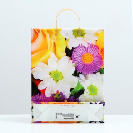ANabel package, soft plastic, 42 x 32 cm, 120 μm-1