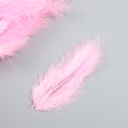 A set of feathers for creativity 30 pcs (14-17 cm), pale pink-1