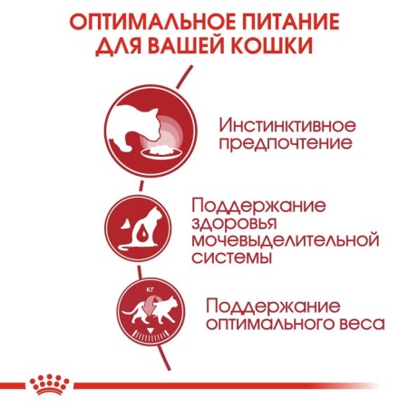 Wet feed RC Instinctive for cats, in jelly, spider, 85 g-3
