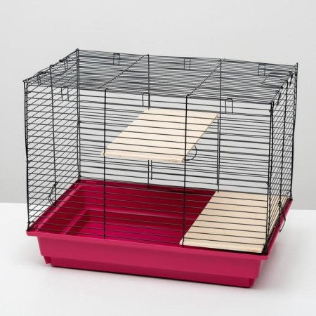 Cage for chinchillas "Pigzon" No. 8 with 2 wooden floors, collapsible, 58x40x48 cm, raspberry-2