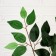 Artificial tree "Green leaf" 145 cm