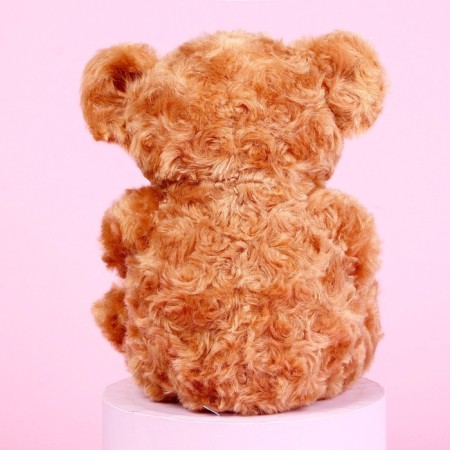 Soft toy "You are the best", bear, Mix color-8