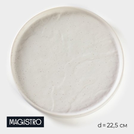 Porcelain dish for feeding Magistro Slate, D = 22.5 cm, white color
