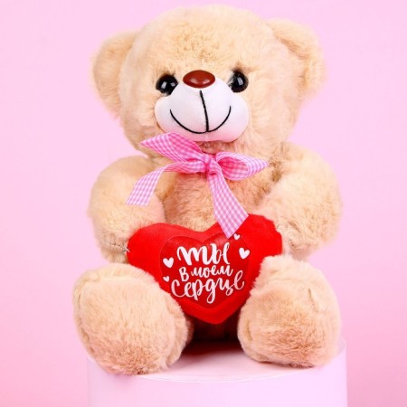 Soft toy "You are in my heart", Bear, Mix color-2