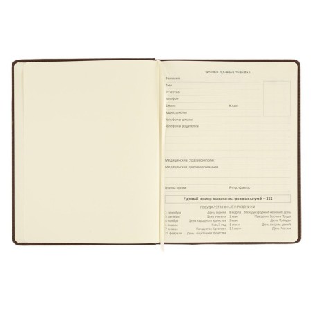 Universal diary for grade 1-11 Dark Brown, hard cover, artificial leather, foam rubber, lies, 80 g/m2-4