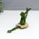 Souvenir Polystone Lak "Frog Ballerina - Tragedy" 8x6x17 cm