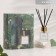 Diffusor aromatic "luxurious aromas", 50 ml, jasmine