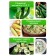 Cucumber seeds "Chinese snakes", 0.4 g