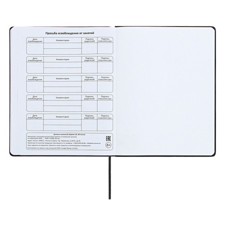 Universal diary for grades 1-11 "strip", solid cover of artificial leather, silkography, lies, 48 ​​sheets, black+blue-14