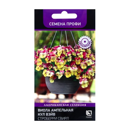 Flowers of Viola Empel Kula Wave Striberry Svirl, 5pcs