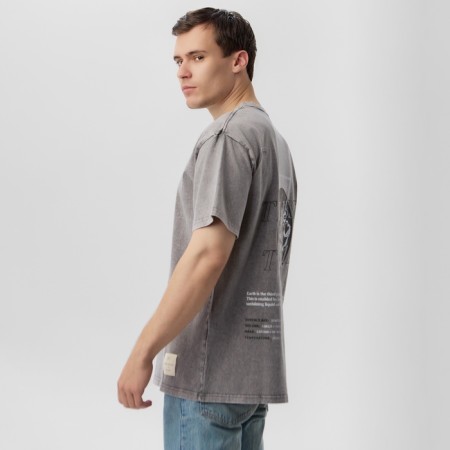 T -shirt male MIST EARTH, col. Gray, rr l-2