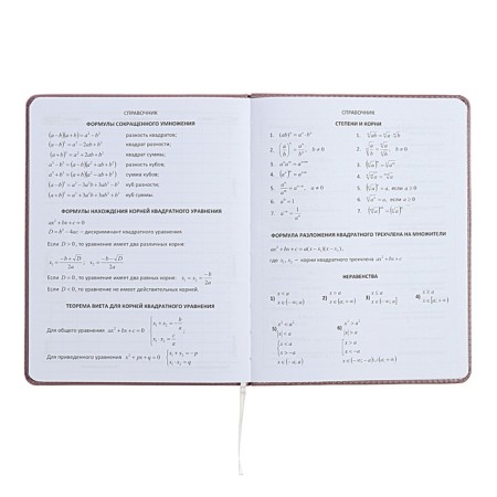 Universal diary for grade 1-11 No Comment, solid cover, artificial leather, foam rubber, silk-screen printing, liesse, 80 g/m2-7