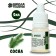 Fragrance "Pine", 5 ml