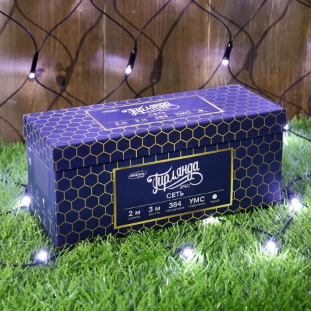 Garland "Network" 2 × 3 m, IP44, UMS, dark thread, 384 LED, white glow, 220 V-3