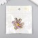 Button plastic for creativity "Color half" set 12 pcs mix 1.7x1.7x0.8 cm