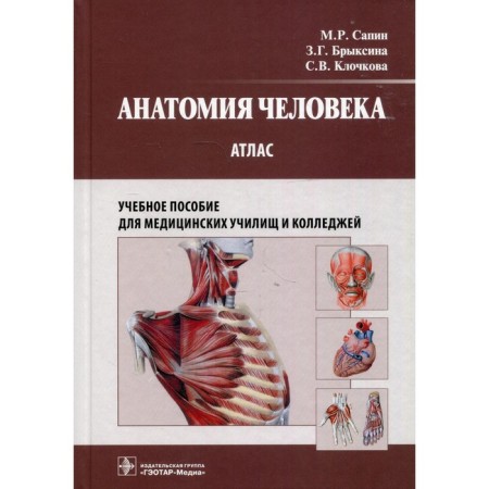 Atlas. Human anatomy. Sapin M.R.