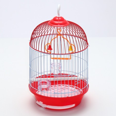 Birds Cool C;-1