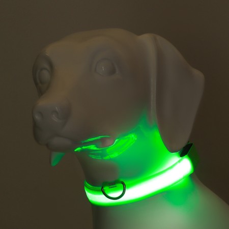 Collar with backlight size XL, Osh 52-60 x 2.5 cm, 3 glow modes Green-1