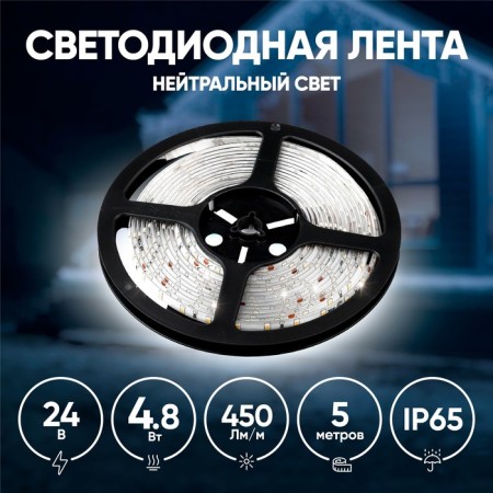 LED era tape, 5 m, IP65, SMD2835, 60 LED/m, 4.8 W/m, 24 V, glow of white-5