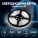 LED era tape, 5 m, IP65, SMD2835, 60 LED/m, 4.8 W/m, 24 V, glow of white