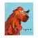 Notebook of 48 sheets in the Erichkrause cell "Happy Capy,", matte lamination, an offset block 100%, mix