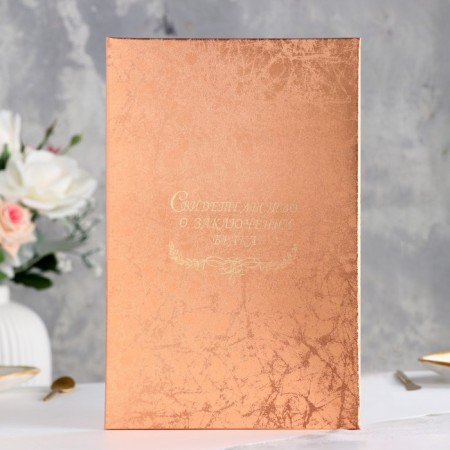 The folder for the test of the "cobweb" is pink, soft, a4