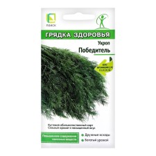 Semen Dill 