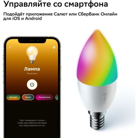 Комплект Sber SBDV-00135-2