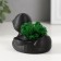 Concrete "duck" 6x8x5.5 cm black with moss (moss green. Stabilized)