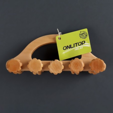 Massage "Caterpillar", 18 × 5.5 × 8 cm, 10 wheels, wooden-2