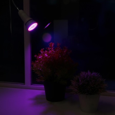 LED Luazon, E27, 6 W, IP44, 220 V, Bicolor Power Power Service-4