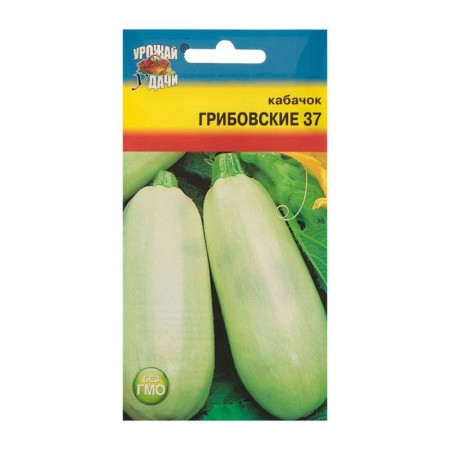 Kabachok "Gribovsky" 37,1,5 g seeds