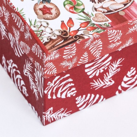 Rectangular box "Bullfinchi", 27 × 17 × 11 cm-2