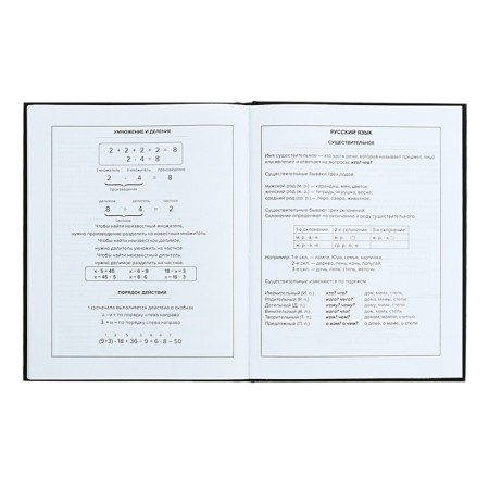 Universal Grade 1-11 Diary, 48 sheets "Bear with an umbrella", hard cover, matte lamination, universal cheat sheet, block 65 g/m2-11