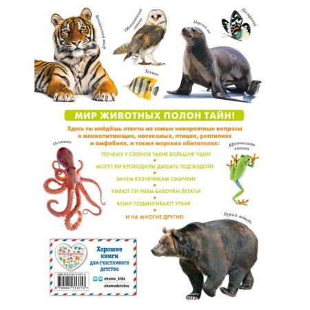 Animals. Big children's encyclopedia-1