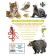 Animals. Big children's encyclopedia