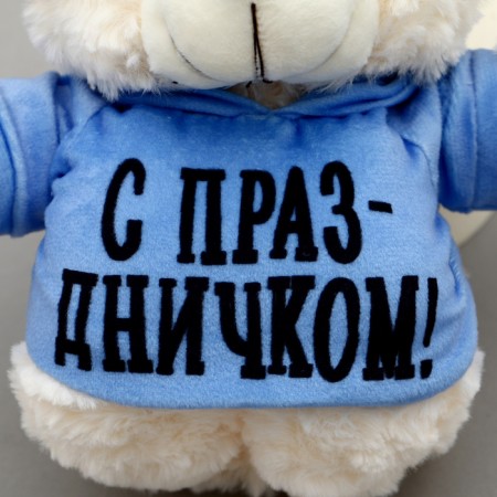 Soft toy Mishka "With a holiday!" In the jacket-4
