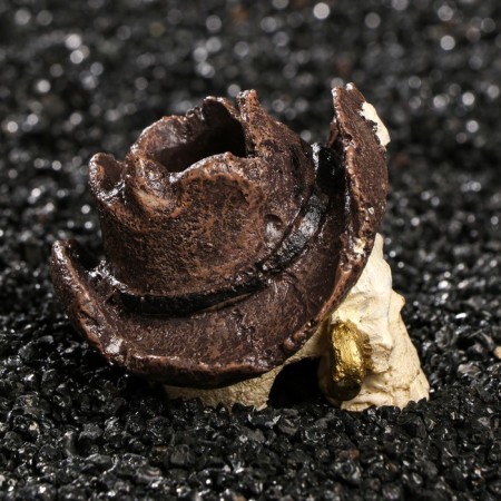 Decor for the Aquarium "Skull", 7 x 7 x 7 cm-1